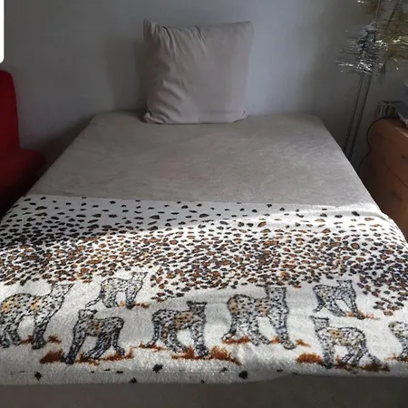 Matter'S Lodge Wangen-Bruttisellen Room photo